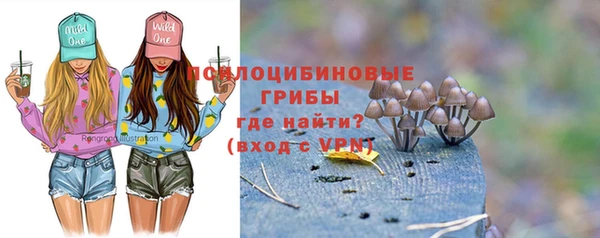 ECSTASY Михайловка