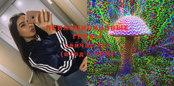 прущая мука Михайлов