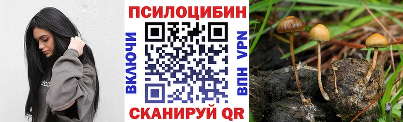 Купить  Нелидово  Псилоцибиновые грибы прущие грибы 
